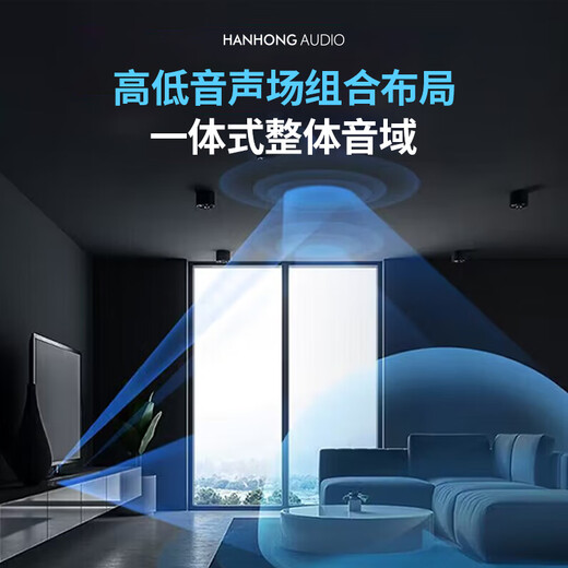 Hanhong Audio National Subsidy TV Audio Echo Wall Home Theater KTV Set Movie Watching K Song All-in-One Stereo Surround Sound Wireless Bluetooth Speaker Karaoke with Subwoofer 019P Cinema Single Version
