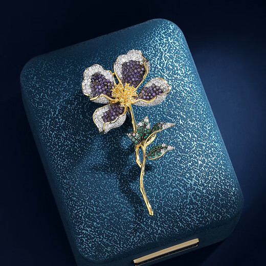 Benheart Danish Iris Praise Brooch High-end Women's High-end Fashion Light Luxury Corsage Brooch for Gifts Brooch - Iris Praise Champagne Gold