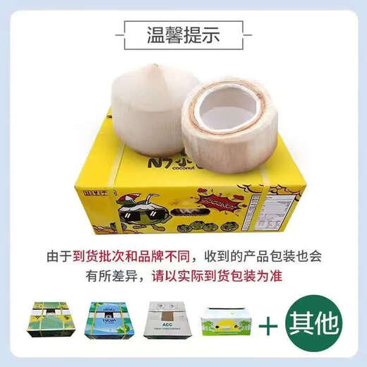 Fruit Pier Thailand imported perfumed milk coconut natural coconut coconut green single fruit 900g Fruit Pier Perfume Coconut 9 pieces packed with coconut opener and straw