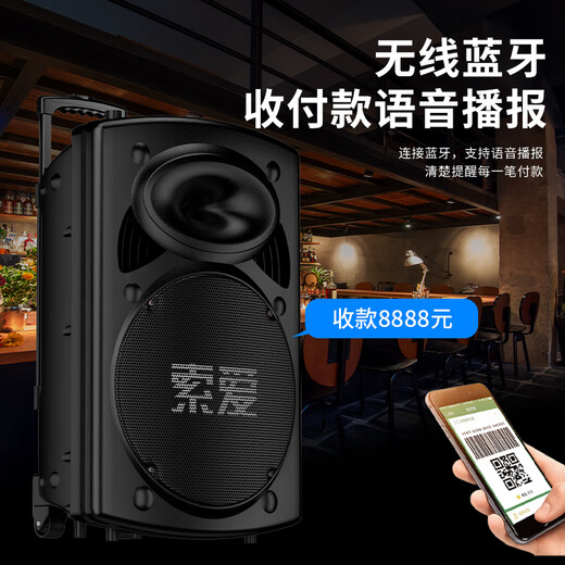 索爱（soaiy）15吋广场舞音响大功率便携式户外重低音蓝牙k歌大音量移动拉杆音箱室外演出设备双话筒A90