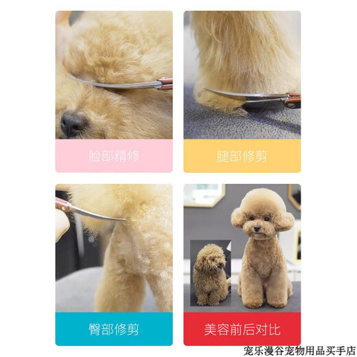 MADAN Pet Grooming Scissors Small Curved Scissors Straight Scissors Teeth Scissors Fish Bone Scissors Teddy Shearing Scissors Aluminum Alloy Gold 6.5 Curved Scissors