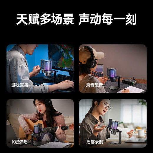 Maono computer microphone game live recording box microphone noise reduction usb mobile phone notebook radio microphone online class karaoke DM20 wired condenser microphone DM20 pink (cantilever model)