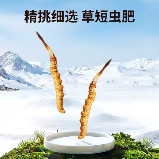 Tongfu Cordyceps Sinensis 2 Roots/G 20g 40 Корни подарочная коробка, питательные пищевые добавки, подарки для старейшин