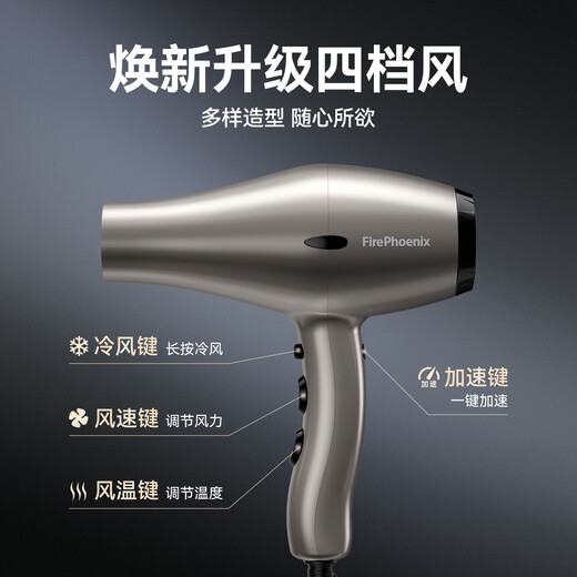 Fire Phoenix Hair Dryer 6600X Hair Salon Special High Power 2400W High Wind Low Noise Home Constant Temperature Hair Care Does Not Damage Hair Barber Shop Professional Hair Dryer Home Appliance 6601X Milan White Negative Ion 2m Cord Long (Four-speed Home Version)