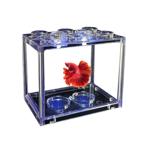 Trendy lifestyle electrical appliances lantern fish tank 1 fish tank (comes with colorful stones and water plants)