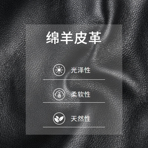 Radibol leather jacket for men spring and summer new style embossed LOGO sheepskin baseball collar men's leather jacket jacket black S 165_46_