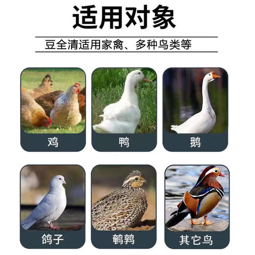 Freeze-dried powder for ducks unable to stand up. Complete treatment of poultry diseases and chicken diseases. Special soft foot serositis for chickens and ducks. Breeding in duck farms. Five bags. Buy three and get two free.