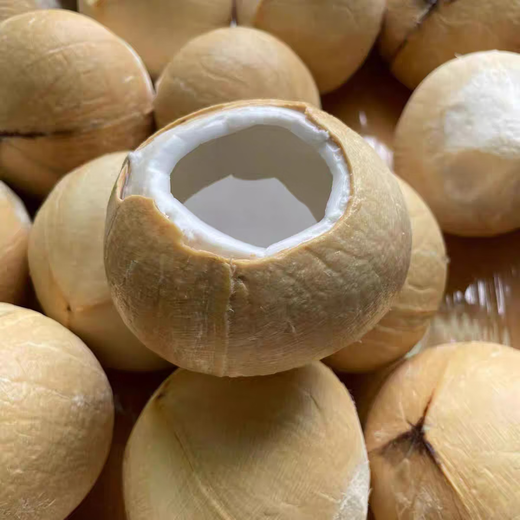 Imported Milky Coconut Royal Coconut Seasonal Fresh Fruit Green Coconut Milky Fragrance Rich and Sweet Taste King of Cost-Effectiveness Coconut King 9 pieces come with soft knife Large fruit single fruit 400-500g