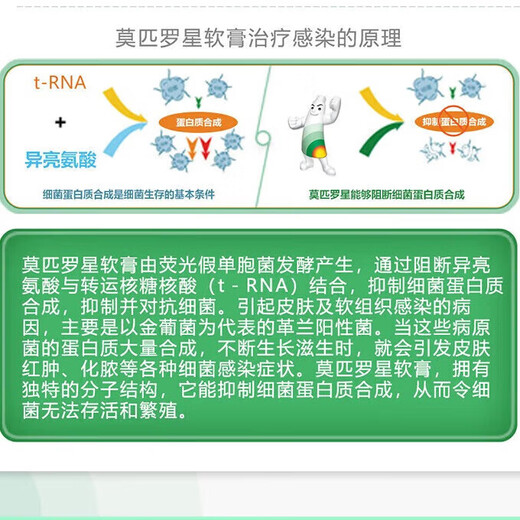 Official flagship Baiduoban Mupirocin Ointment Folliculitis Ointment for the treatment of folliculitis on the head. Medication for pimples and pustules on the head. Scalp itching to relieve itching, boils and swollen hair follicles. 1 box. The itching is unbearable. I can’t help but scratch it with my hands. The small amount is not recommended. The official flagship store’s authentic Fat Donglai selection line is available in Jingzi Dongying Pharmacy.