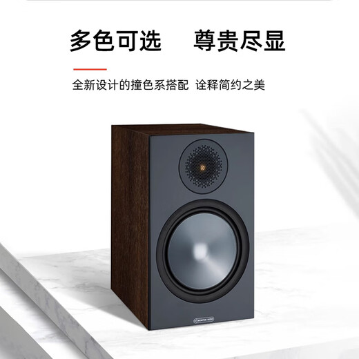天逸(Winner)AD-86D多功能超甲类家用功放机大功率发烧级HiFi功放音响套装2.0高保真数字功放 天逸AD-86D +Bronze 铜100