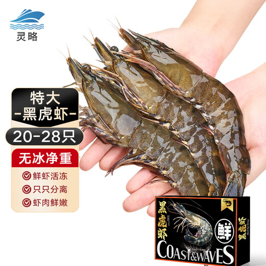 Linglue domestic live frozen black tiger shrimp net weight 1.8Jin Jin equals 0.5kg 20-28 salt-frozen single frozen shrimp barbecue prawns monodon
