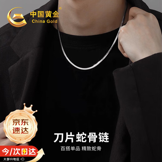 Chinese Gold Snake Bone Chain Silver Necklace Men's Trendy Zodiac Year Snake Shape Chain for Boys Birthday Gift for Boyfriend and Husband Anniversary Blade Snake Bone Chain Jingsuda