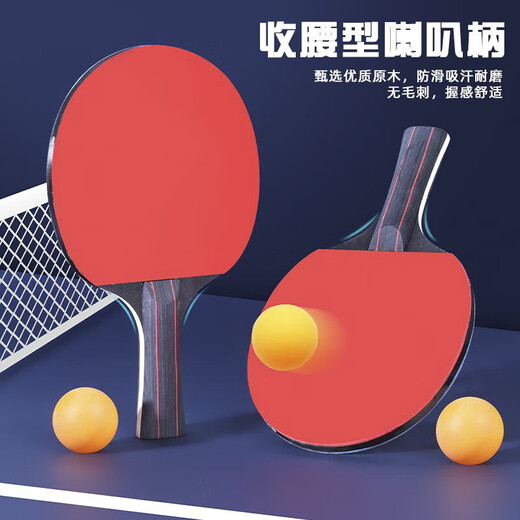 Genuine table tennis racket double racket for adults, children, primary school students, beginners, family-specific professional 6-star set, six-star flagship competition dedicated, horizontal racket 2 3 balls/pack