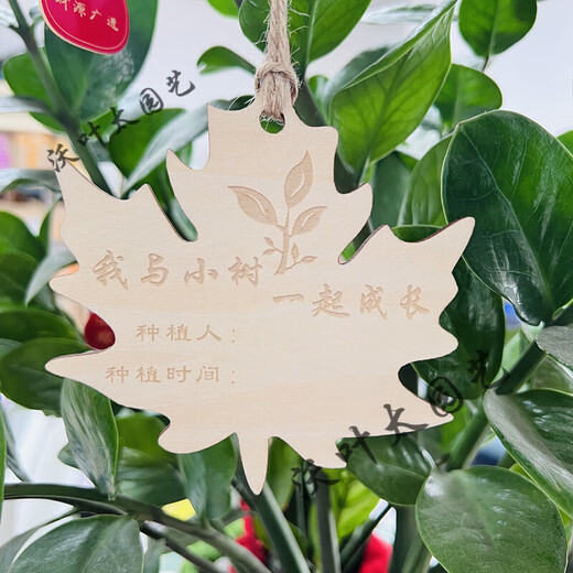 Yong Huan 10 pieces of custom-made wooden hanging tags for school Arbor Day tags tree adoption tags plant tags name cards grow with the trees 10 pieces