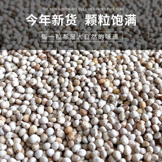 New white perilla large grain perilla seed bird food canary hibiscus bird oriole pearl white swallow jade bird food parrot bird food 100g white perilla seed