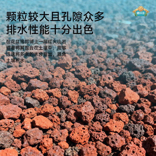 Devodo red volcanic rock 5kg (1-2cm) succulent granular soil paving stone mixed with soil to improve soil gardening soilless cultivation