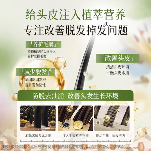 Zhuolanya Ginger Anti-hair Loss Firming Shampoo 800ml*2 (Shampoo Cream Shampoo Unisex)