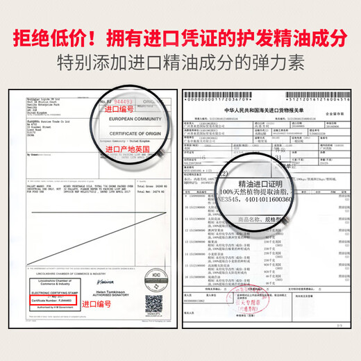 Elastin for women's curly hair, moisturizing and curling, anti-frizz, special elastin perm and hair care tool. Hot-selling hot-selling fragrance type elastin*1 bottle