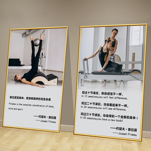 He Jiagong Pilates decorative painting Gym wall decoration hanging painting Bodybuilding studio body shaping Pilates promotion 15-How to practice Pilates 40 width x 60 height cm KT board + gold PVC edge same size