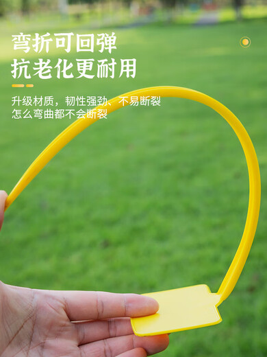 斜面大号插地牌园艺标签园艺标识牌植物指示牌插地标牌记号牌 15厘米总长斜面[粉色100张]