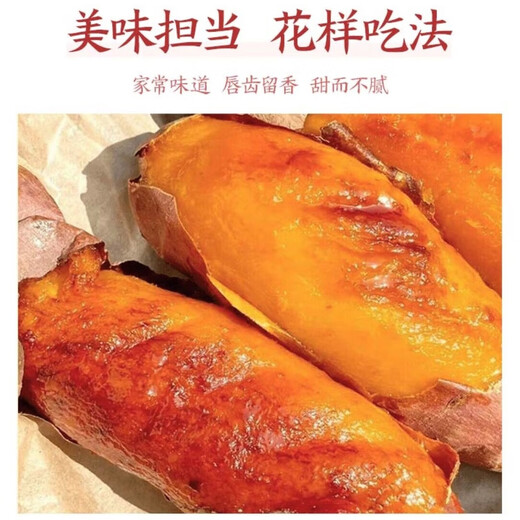 Authentic Tobacco Potato No. 25 Oily and Honey Roasted Sweet Potato Sweet Potato Origin Straight Hair Sweet Potato Net Weight 4.5Jin Jin equals 0.5kg 150-400g