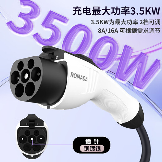 ROMADA's brand new MG4 special external discharge new energy universal discharge gun external plug socket plug strip tram external power converter outdoor power strip 10 meters charging and discharging integrated gun + storage bag - 4 square lines outdoor travel power converter 220V