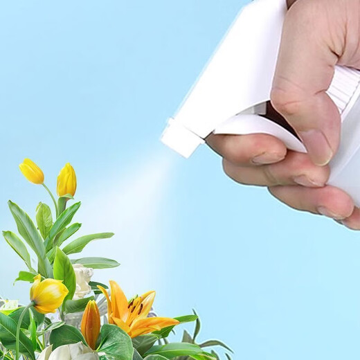 金正(NINTAUS)高温高压蒸汽清洗机清洁机家用厨房空调家电油烟机清洗消毒擦玻璃神器清洁机 多功能喷头