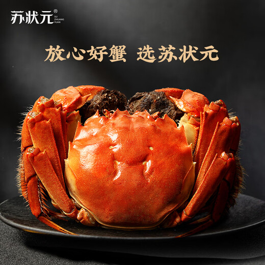 Live crab Su Zhuangyuan fresh hairy crabs in stock male 5.0-5.3 female 4.0-4.3 taels 5 pairs of 10 crabs New Year's seafood gift box sent directly from the source