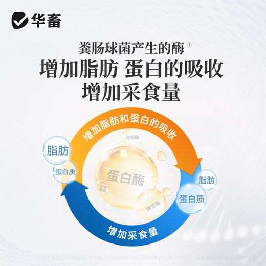 华畜 兽用催肥增重王促生长肥霸饲料添加剂鸡鸭鹅牛羊预混料禽用肥猪 10袋【低至9.9/袋】超值最低价