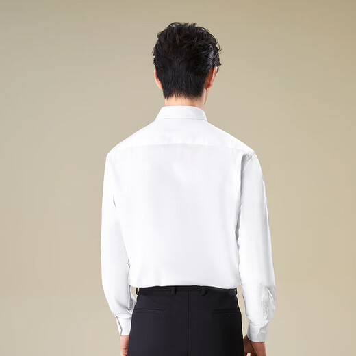 HLA Heilan long-sleeved shirt men's business crisp and neat large size formal shirt for men