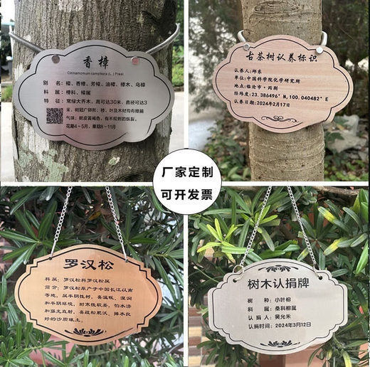 Tree sign, customized tree and flower sign, hanging plant popular science sign, ancient tree insertion sign, introduction sign, stainless steel 20*30CM