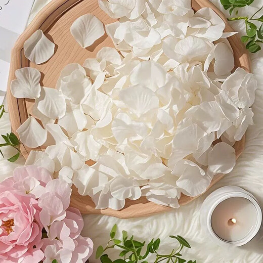 Dongzhitiandi simulated rose fake flower petals for wedding, wedding room, birthday confession, decoration, hand-spreading flowers, proposal, petal rain, simulated rose petals, milky white, about 1000 pieces