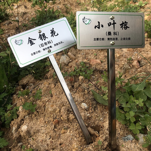 Tree sign, customized tree and flower sign, hanging plant popular science sign, ancient tree insertion sign, introduction sign, stainless steel 20*30CM