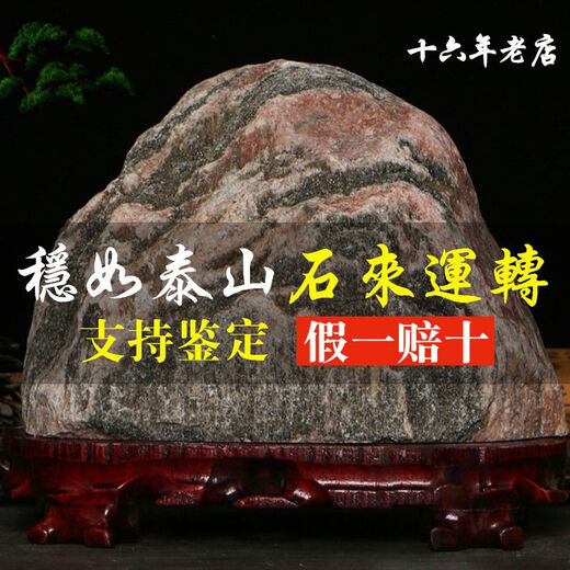 三栖虎敢当镇宅室内室外办公室靠山石泰山化路冲天然原石摆件 藏青色13882