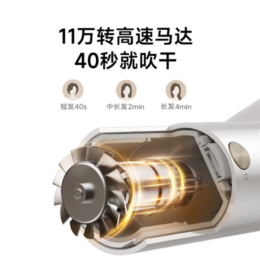 Chasing Time G20 Home Hair Dryer Constant Temperature Quick Drying Hair Dryer Negative Ion High Speed Hair Care Leafless Hair Dryer Gift Gift Lilac Purple AHD12B