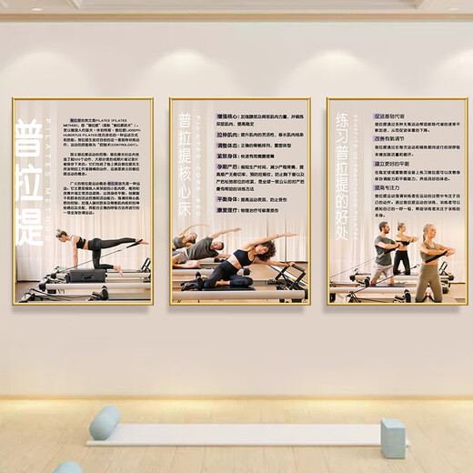 He Jiagong Pilates decorative painting Gym wall decoration hanging painting Bodybuilding studio body shaping Pilates promotion 15-How to practice Pilates 40 width x 60 height cm KT board + gold PVC edge same size