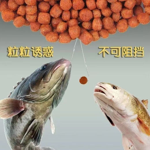 Wild fisher granular bait wild fishing black pit fishing red worm concentrate sea fishing bait kill fishing bait explosion protection bait wild fisher granule 1 small bottle