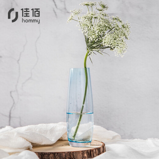 Jiabai modern simple small fresh colorful hydroponic glass vase creative table decorations a flower home decoration sky blue