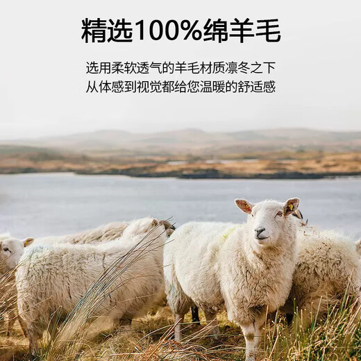 Calznklien 100% Australian pure wool scarf for women autumn and winter 2025 new style scarf warm shawl birthday gift for girls Tuoqage high-end gift box