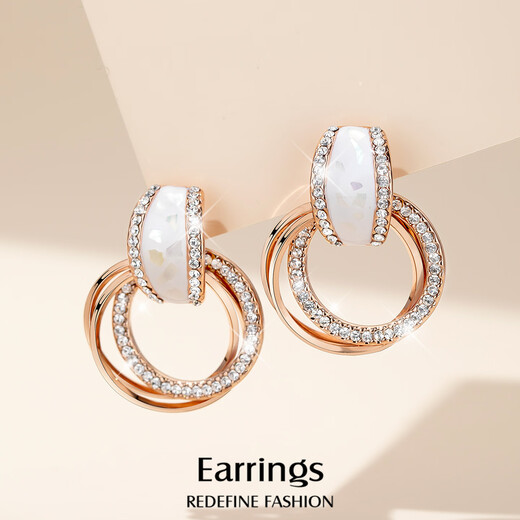 Yalundi earrings silver earrings for women sterling silver niche unique earrings for women 2025 new hot style high-end light luxury temperament earrings