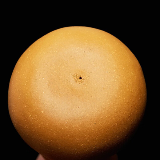 Zun pot purple clay tea pet ornaments gourd tea toy boutique can grow tea table ornaments hand-held toys tea set accessories