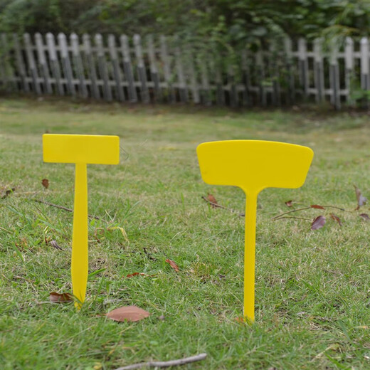 多种规格多种颜色塑料大号插地牌园艺标签园艺标识牌指示牌 大斜面50cm白色10个