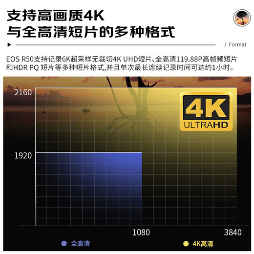 Canon R50+RF-S18-45mm Mirrorless Camera Kit Black International Version HD Portable Travel Home Photography vlog Hainan Consumer Voucher Gift