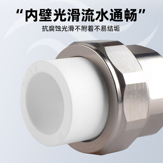 Golden Horn Taurus PPR stainless steel outer wire union joint 25*6 points water pipe accessories water heating joint
