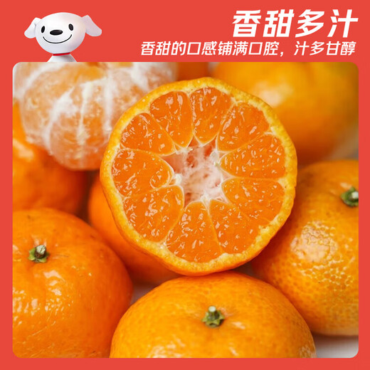 Jingdida Guangxi Tangtang Orange, net weight 4.5Jin Jin is equal to 0.5kg, single fruit 40mm+, straight from the fresh source