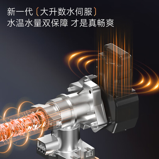 Rinnai Master Series 20L Large Liter Gas Water Heater Full Water Servo Constant Temperature Large Water Volume Water Heater 0.5 Temperature Adjustment 20GD73 (JSQ40-GD73)