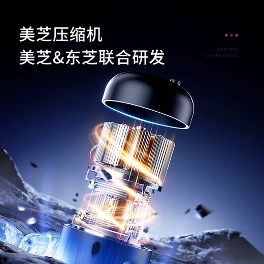 TYLZA 24 bottles small red wine cabinet constant temperature wine cabinet air-cooled frost-free wine red wine beverage refrigerator ice bar energy-saving silent home bedroom living room office TW-86 first-level energy efficiency air-cooled wine cabinet-Beech wood shelf 24 bottles