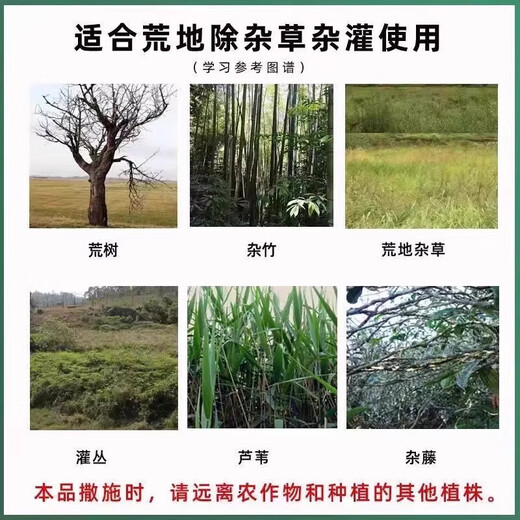 Wanchao cyclozinone, a special drug for killing large tree rotten roots and shrubs, powerful tree remover, rotten root and tree dead ketone pesticide 1000g 500g*2 bags of cyclozinone granules