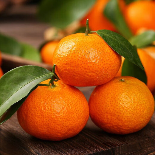 Jingdida Guangxi Tangtang Orange, net weight 4.5Jin Jin is equal to 0.5kg, single fruit 40mm+, straight from the fresh source