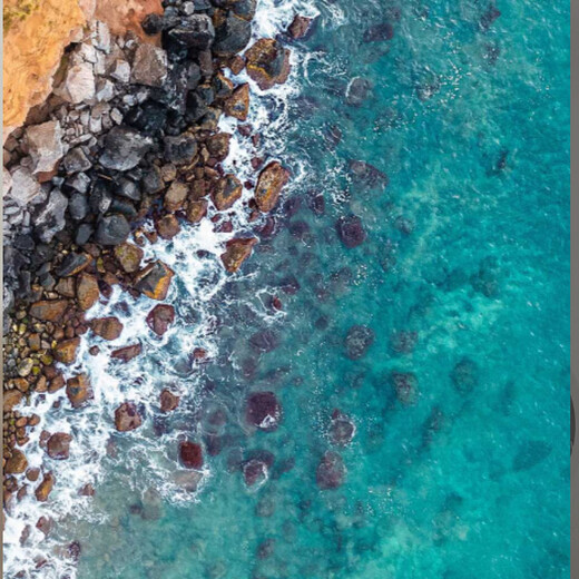 Tuojin imported quality translucent apron from Japan for kitchen household long-sleeved waterproof and oil-proof adult coveralls overalls for killing fish, all-inclusive_no pockets_one size fits all_black